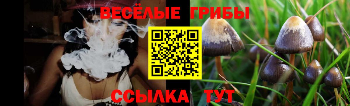 Кунгур  Галлюциногенные грибы ЛСД  Вход с VPN  цена   Псилоцибиновые грибы мицелий 